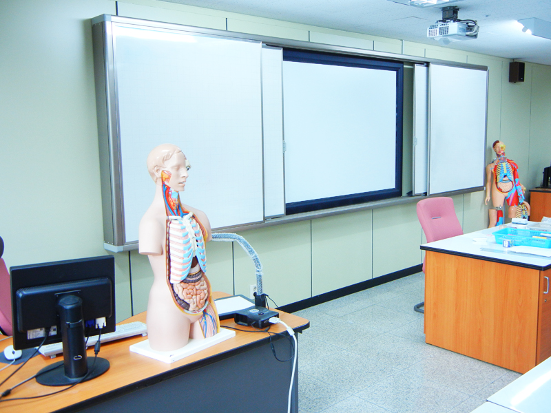 �������н�